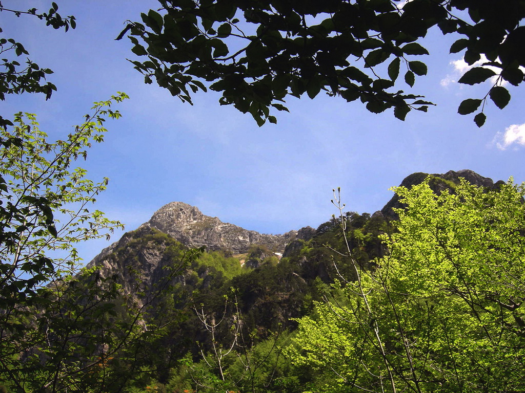 Parco Nazionale d'Abruzzo, Lazio e Molise