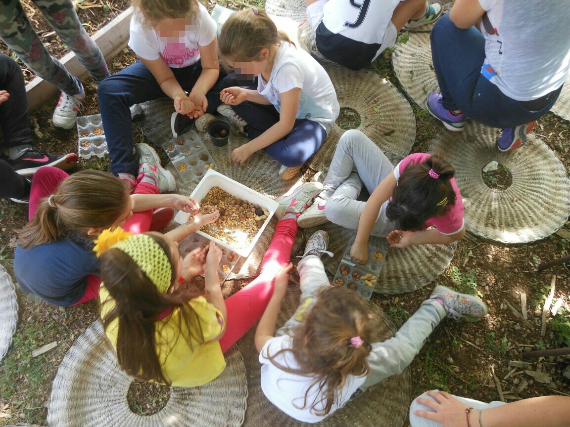 La Biodiversità Vegetale Della Fattoria