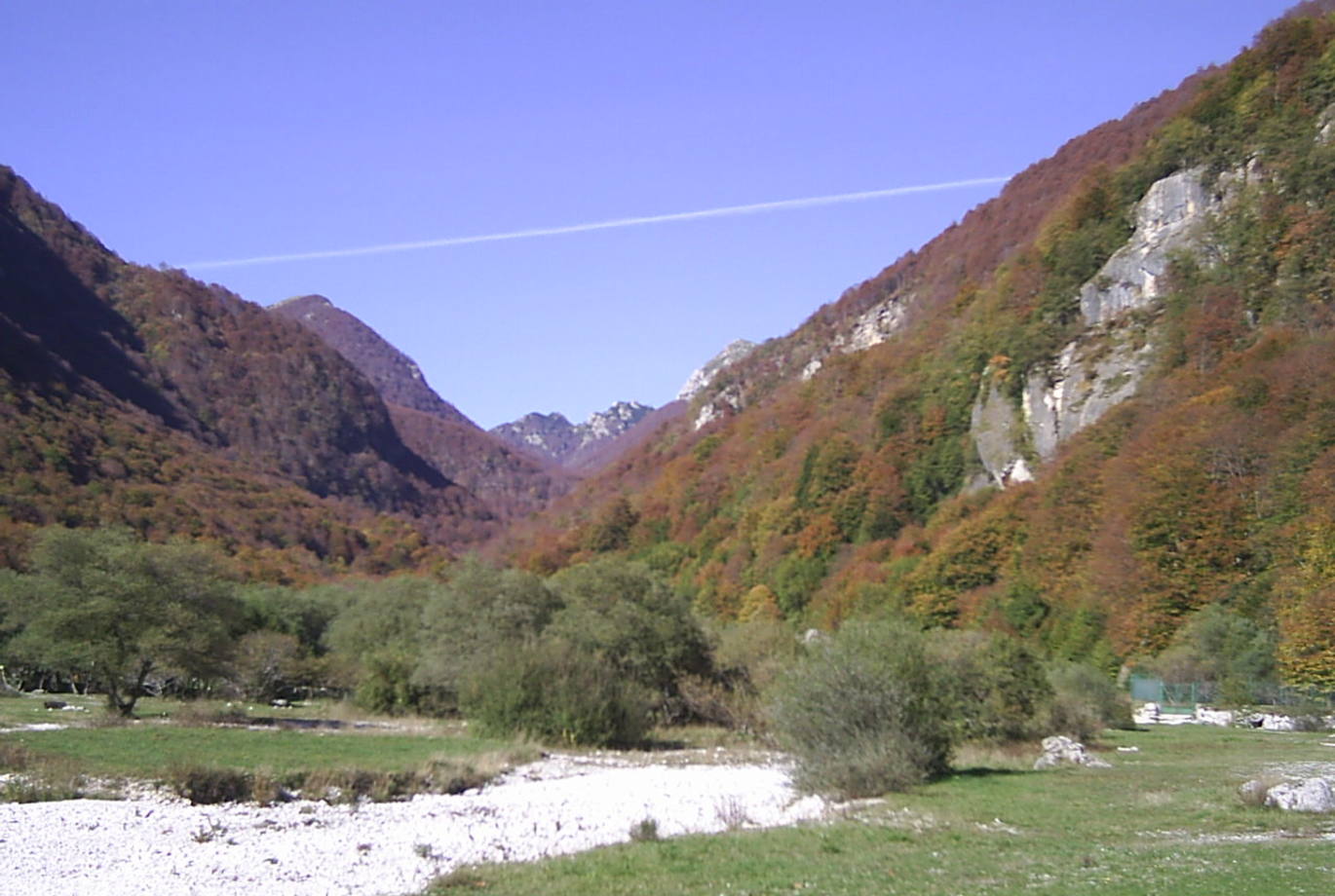 Il magico mondo del Parco