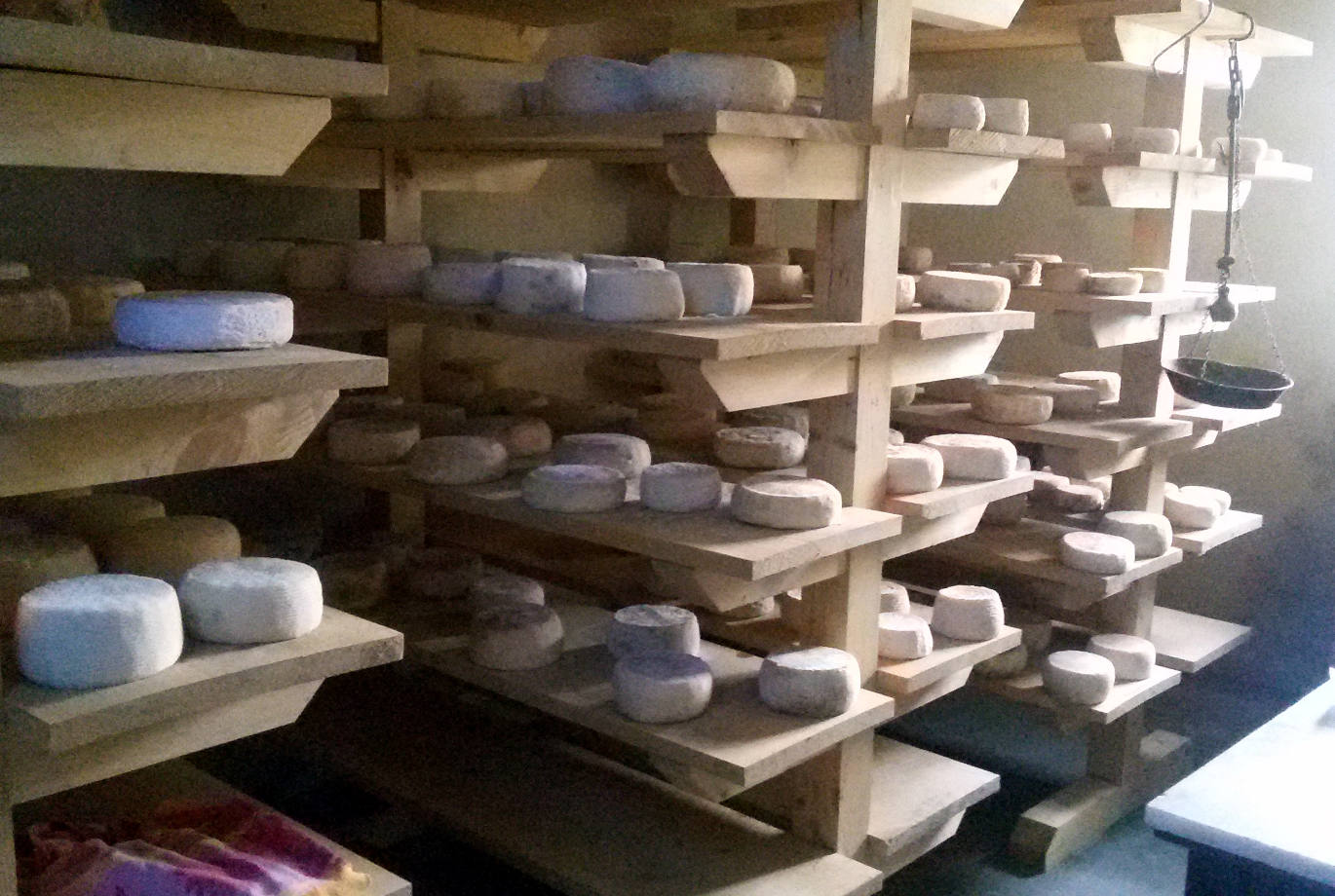 Le Forme Del Latte: Il Latte, Il Formaggio, La Ricotta