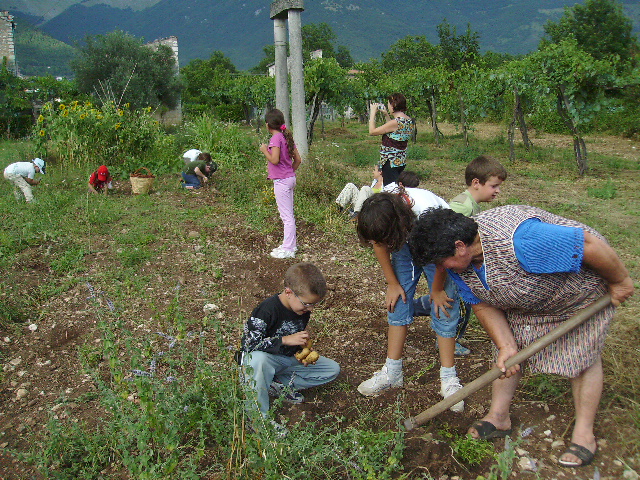 Olimpiadi Del Contadino