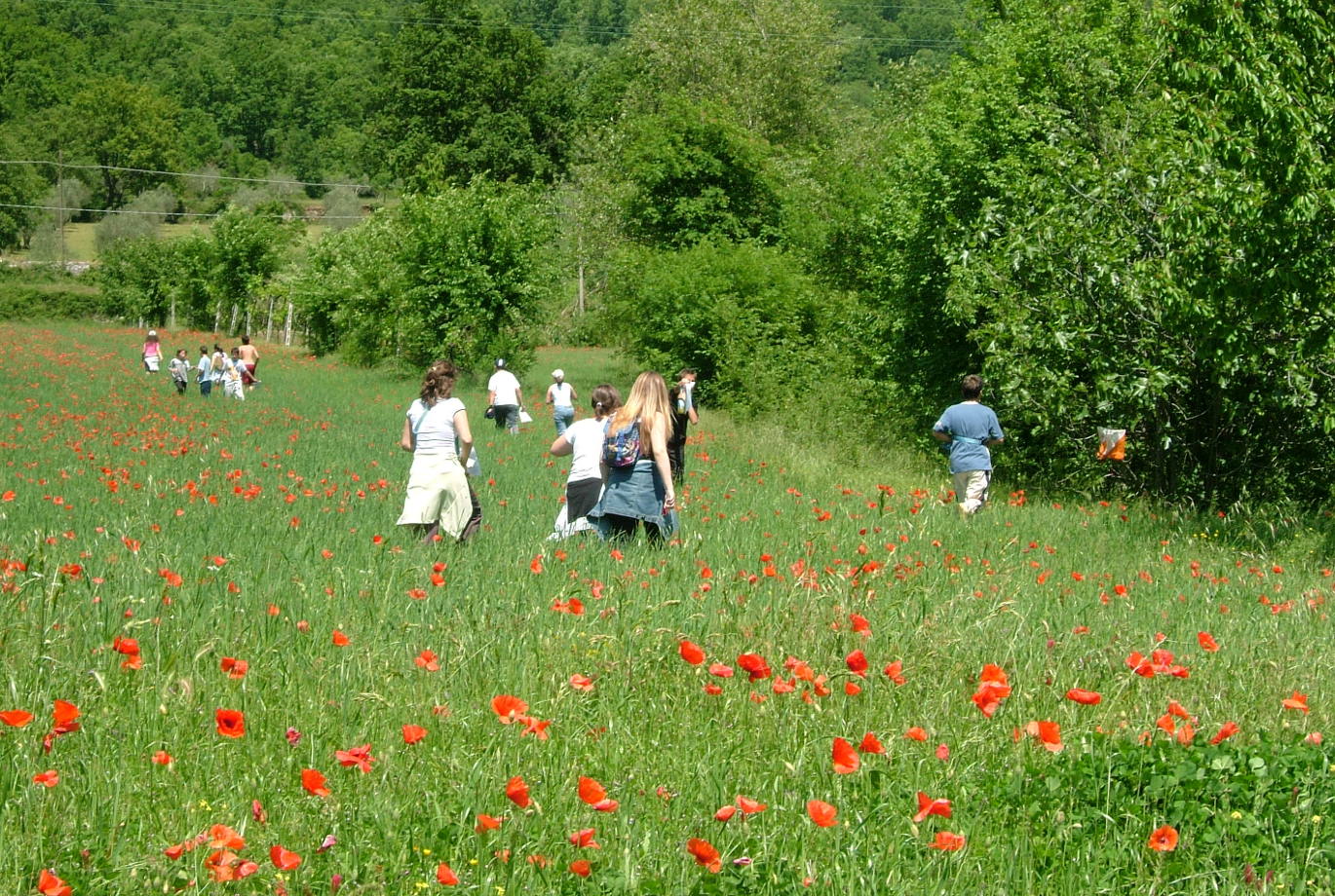 Caccia Al Tesoro Naturalistico